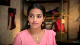 Vaagai Sooda Vaa (Zee Tamil) S01 E113 2nd June 2026 Vaagai Sooda Vaa (Zee Tamil) S01 E113 2nd June 2026