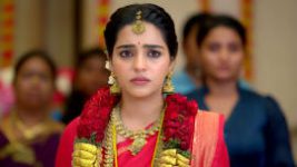 Vaagai Sooda Vaa (Zee Tamil) S01 E137 30th June 2026 Vaagai Sooda Vaa (Zee Tamil) S01 E137 30th June 2026