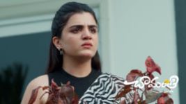 Chamanthi (Zee Telugu) S01 E488 22nd July 2026