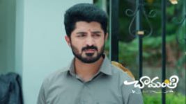 Chamanthi (Zee Telugu) S01 E490 24th July 2026