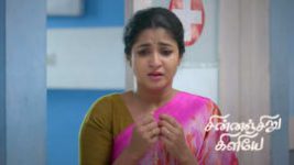 Chinnan Siru Kiliye S01 E250 7th July 2026