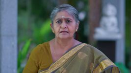 Godavari S01 E50 Swarajyam Reprimands Alakanandha