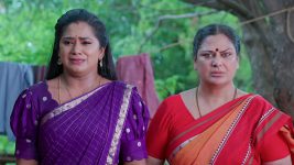 Illu Illalu Pillalu (Star Maa) S01 E517 Vedawathi Berates Bhagyam Illu Illalu Pillalu (Star Maa) S01 E517 Vedawathi Berates Bhagyam