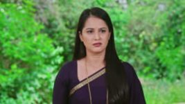 Naa Ninna Bidalaare (Zee Kannada) S01 E383 3rd July 2026