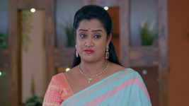 Ninnu Kori (Star Maa) S01 E662 Chandrakala Seeks Forgiveness
