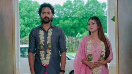 Ninnu Kori (Star Maa) S01 E669 Virat's Marriage Stuns the Family