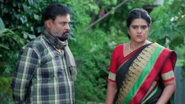 Paape Maa Jeevana Jyothi S01 E1612 Thandava's Ultimatum to Indumathi Paape Maa Jeevana Jyothi S01 E1612 Thandava's Ultimatum to Indumathi