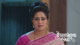 Salangai Oli (Zee Tamil) S01 E587 1st July 2026 Salangai Oli (Zee Tamil) S01 E587 1st July 2026