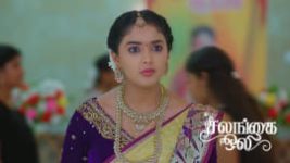 Salangai Oli (Zee Tamil) S01 E590 3rd July 2026 Salangai Oli (Zee Tamil) S01 E590 3rd July 2026