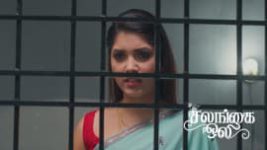Salangai Oli (Zee Tamil) S01 E614 17th July 2026
