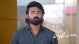 Sandhya Raagam (Tamil) S01 E926 12th July 2026