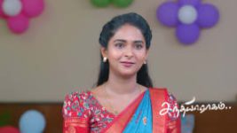 Sandhya Raagam (Tamil) S01 E930 15th July 2026