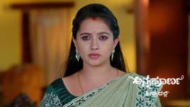 Annapoorna S01 E1238 19th August 2026 Annapoorna S01 E1238 19th August 2026
