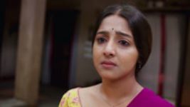 Annapurnar Lokkhira S01 E77 16th August 2026 Annapurnar Lokkhira S01 E77 16th August 2026