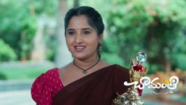 Chamanthi (Zee Telugu) S01 E497 1st August 2026 Chamanthi (Zee Telugu) S01 E497 1st August 2026