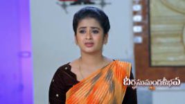 Dheerga Sumangli Bhava (Zee Telugu) S01 E427 17th August 2026 Dheerga Sumangli Bhava (Zee Telugu) S01 E427 17th August 2026