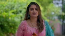 Intinti Ramayanam (Star Maa) S01 E673 Pallavi Grows Anxious