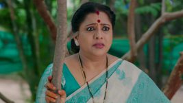 Intinti Ramayanam (Star Maa) S01 E698 A Stunner for Parvati Intinti Ramayanam (Star Maa) S01 E698 A Stunner for Parvati