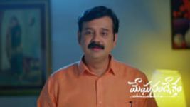 Meghasandesam (Zee Telugu) S01 E704 11th August 2026 Meghasandesam (Zee Telugu) S01 E704 11th August 2026