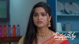 Meghasandesam (Zee Telugu) S01 E705 12th August 2026 Meghasandesam (Zee Telugu) S01 E705 12th August 2026
