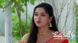Meghasandesam (Zee Telugu) S01 E707 14th August 2026 Meghasandesam (Zee Telugu) S01 E707 14th August 2026