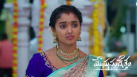 Meghasandesam (Zee Telugu) S01 E709 17th August 2026 Meghasandesam (Zee Telugu) S01 E709 17th August 2026