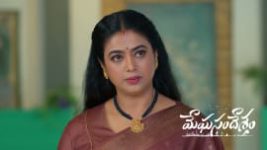 Meghasandesam (Zee Telugu) S01 E712 20th August 2026 Meghasandesam (Zee Telugu) S01 E712 20th August 2026
