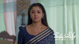 Meghasandesam (Zee Telugu) S01 E716 25th August 2026 Meghasandesam (Zee Telugu) S01 E716 25th August 2026