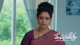 Meghasandesam (Zee Telugu) S01 E720 29th August 2026 Meghasandesam (Zee Telugu) S01 E720 29th August 2026