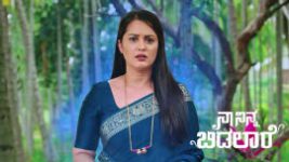 Naa Ninna Bidalaare (Zee Kannada) S01 E424 24th August 2026 Naa Ninna Bidalaare (Zee Kannada) S01 E424 24th August 2026