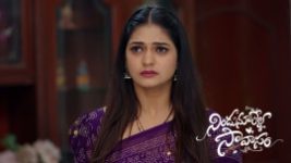 Nindu Noorella Saavasam S01 E964 13th August 2026 Nindu Noorella Saavasam S01 E964 13th August 2026