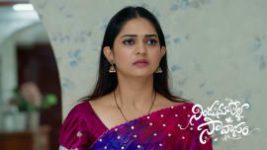 Nindu Noorella Saavasam S01 E971 21st August 2026 Nindu Noorella Saavasam S01 E971 21st August 2026