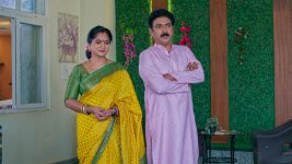 Ninnu Kori (Star Maa) S01 E675 Jagadeswari Plots a Reunion