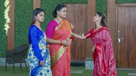 Ninnu Kori (Star Maa) S01 E691 Mandara Faces Chandrakala's Anger Ninnu Kori (Star Maa) S01 E691 Mandara Faces Chandrakala's Anger