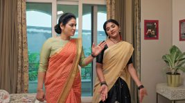 Nuvvu Leka Nenu Lenu S01 E186 Damayanthi Warns Sundari
