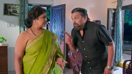 Podarillu S01 E196 Ramanayya, Thayaaru's Next Tactic Podarillu S01 E196 Ramanayya, Thayaaru's Next Tactic