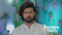 Salangai Oli (Zee Tamil) S01 E670 20th August 2026 Salangai Oli (Zee Tamil) S01 E670 20th August 2026