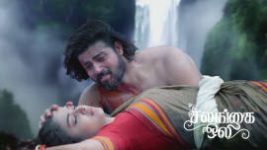 Salangai Oli (Zee Tamil) S01 E684 28th August 2026 Salangai Oli (Zee Tamil) S01 E684 28th August 2026