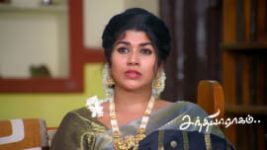 Sandhya Raagam (Tamil) S01 E954 12th August 2026