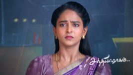 Sandhya Raagam (Tamil) S01 E965 25th August 2026