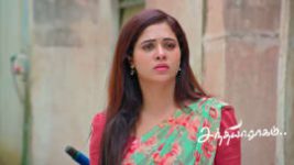 Sandhya Raagam (Tamil) S01 E966 26th August 2026 Sandhya Raagam (Tamil) S01 E966 26th August 2026
