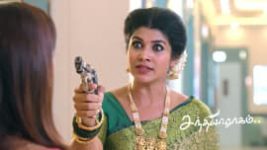 Sandhya Raagam (Tamil) S01 E969 29th August 2026 Sandhya Raagam (Tamil) S01 E969 29th August 2026