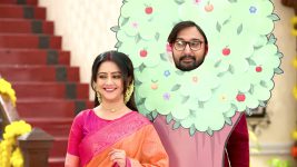 Sangsarer Sangkirtan (Star Jalsha) S01 E135 Shanti's Jhulan Yatra Charms All Sangsarer Sangkirtan (Star Jalsha) S01 E135 Shanti's Jhulan Yatra Charms All
