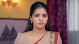 Vaagai Sooda Vaa (Zee Tamil) S01 E185 21st August 2026 Vaagai Sooda Vaa (Zee Tamil) S01 E185 21st August 2026
