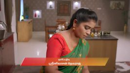 Chinnan Siru Kiliye S01 E295 8th September 2026