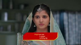 Podarillu S01 E205 Madhava Holds His Ground Podarillu S01 E205 Madhava Holds His Ground