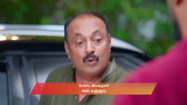 Ayali S01 E397 8th September 2026 Ayali S01 E397 8th September 2026