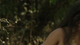 Chandra Nandni S03 E32 Padmanand Vows To Kill Chanakya