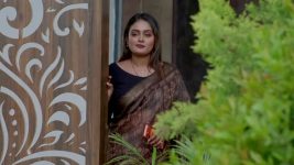 Intinti Ramayanam (Star Maa) S01 E708 Pallavi Demands Parvati's Silence Intinti Ramayanam (Star Maa) S01 E708 Pallavi Demands Parvati's Silence
