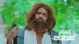 Naa Ninna Bidalaare (Zee Kannada) S01 E429 31st August 2026